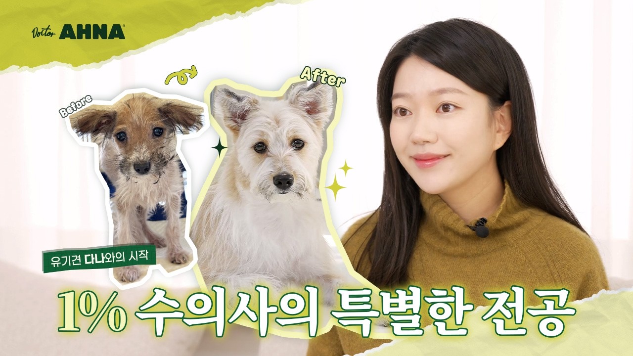 1% 수의사의 특별한 전공..? | 유기견 '다나'와의 시작