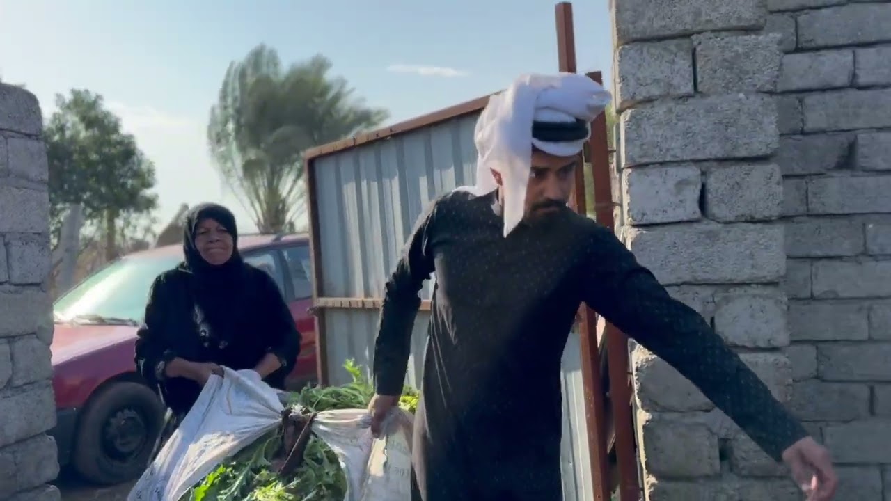 حياه الريف في العراق صلاح الدين مع سنفور الحجاج