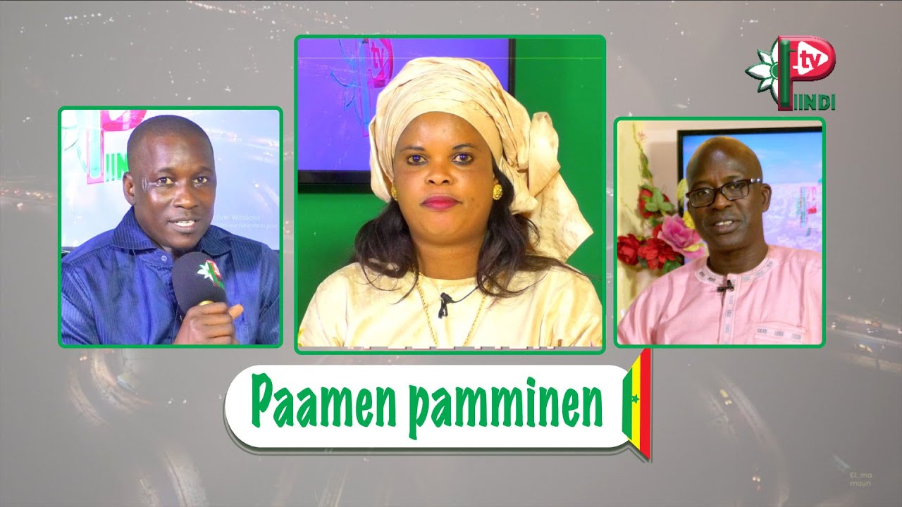 Emission Paamen Pamminen