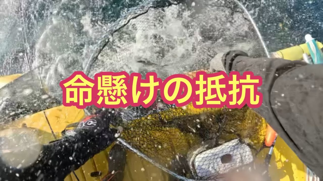 【2馬力ボート釣り】命懸けの戦い｢サワラの巣｣ に棲む凄いヤツ‼️３週連続で行って一番〇〇な日