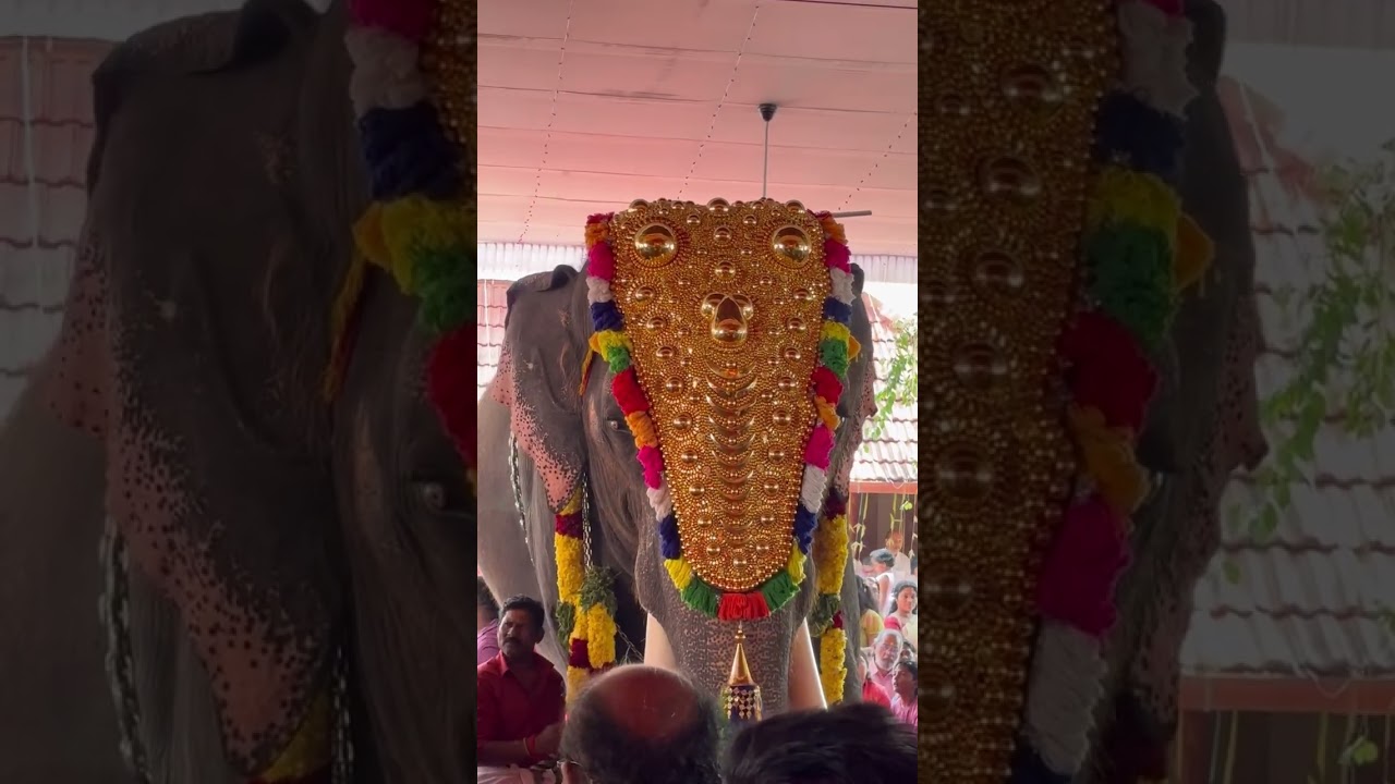 പള്ളിക്കുന്ന് കാനത്തൂർ മഹാവിഷ്ണു ക്ഷേത്രത്തിൽ നടന്ന ഗജ പൂജ full vide