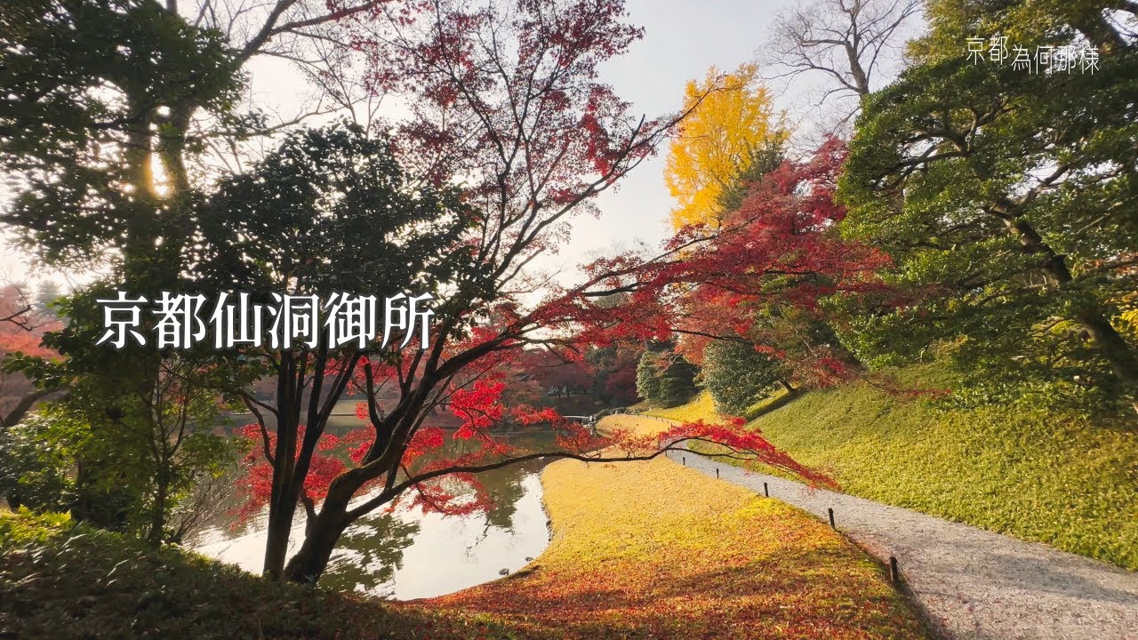 [京都為何那樣] 京都仙洞御所賞秋色