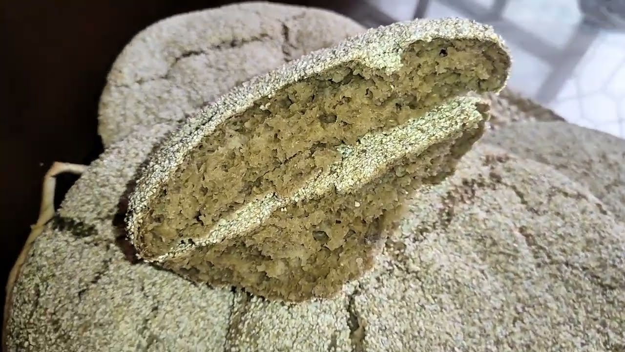 Barley flour bread خبز بدقيق الشعير #explore #deliciousfood #foryourpage #easyrecipe #healthyfood 