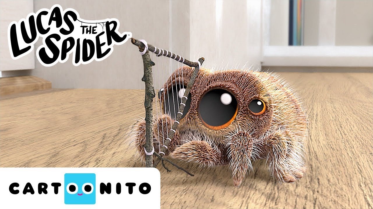 Spider Sings Cute Song | Lucas the Spider | Cartoons for Kids | @cartoonito