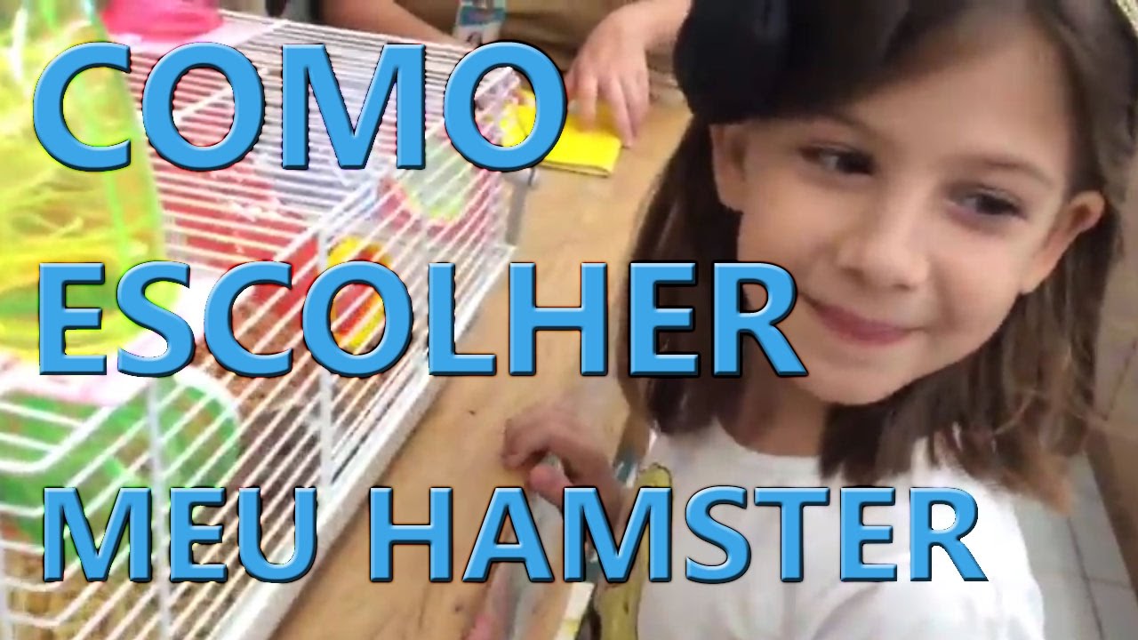 COMO ESCOLHER UM HAMSTER - COMPRANDO UM HAMSTER