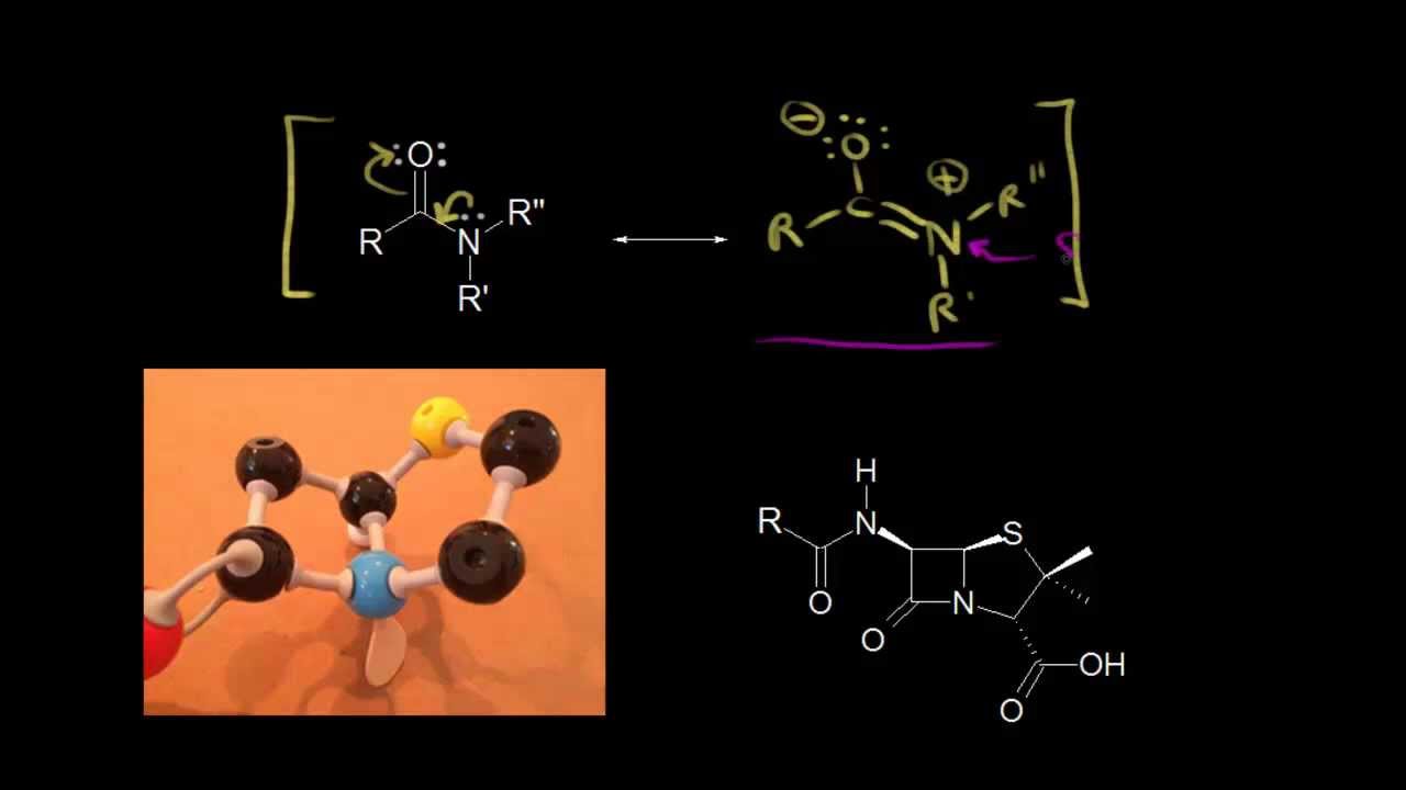 Antybiotyki beta-laktamowe | Kwasy karboksylowe i pochodne | Chemia organiczna | Khan Academy
