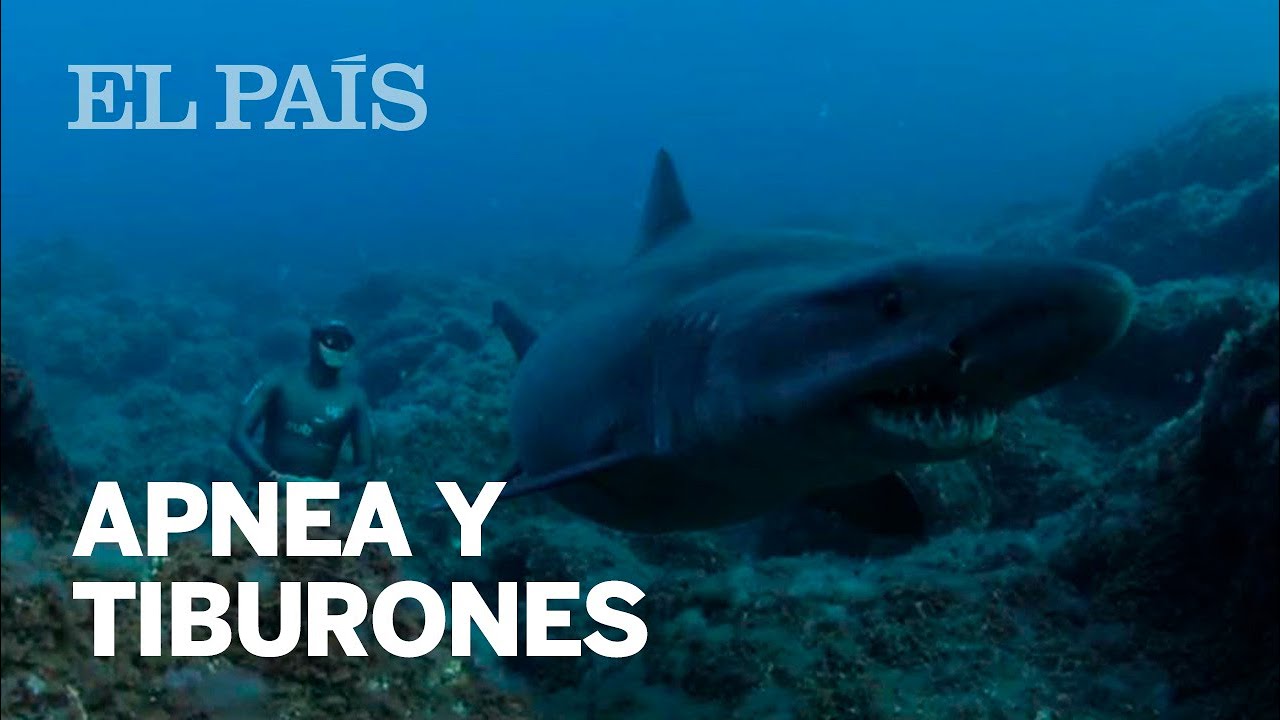 MIGUEL LOZANO: un paseo sin respirar con TIBURONES solrayo en El Hierro