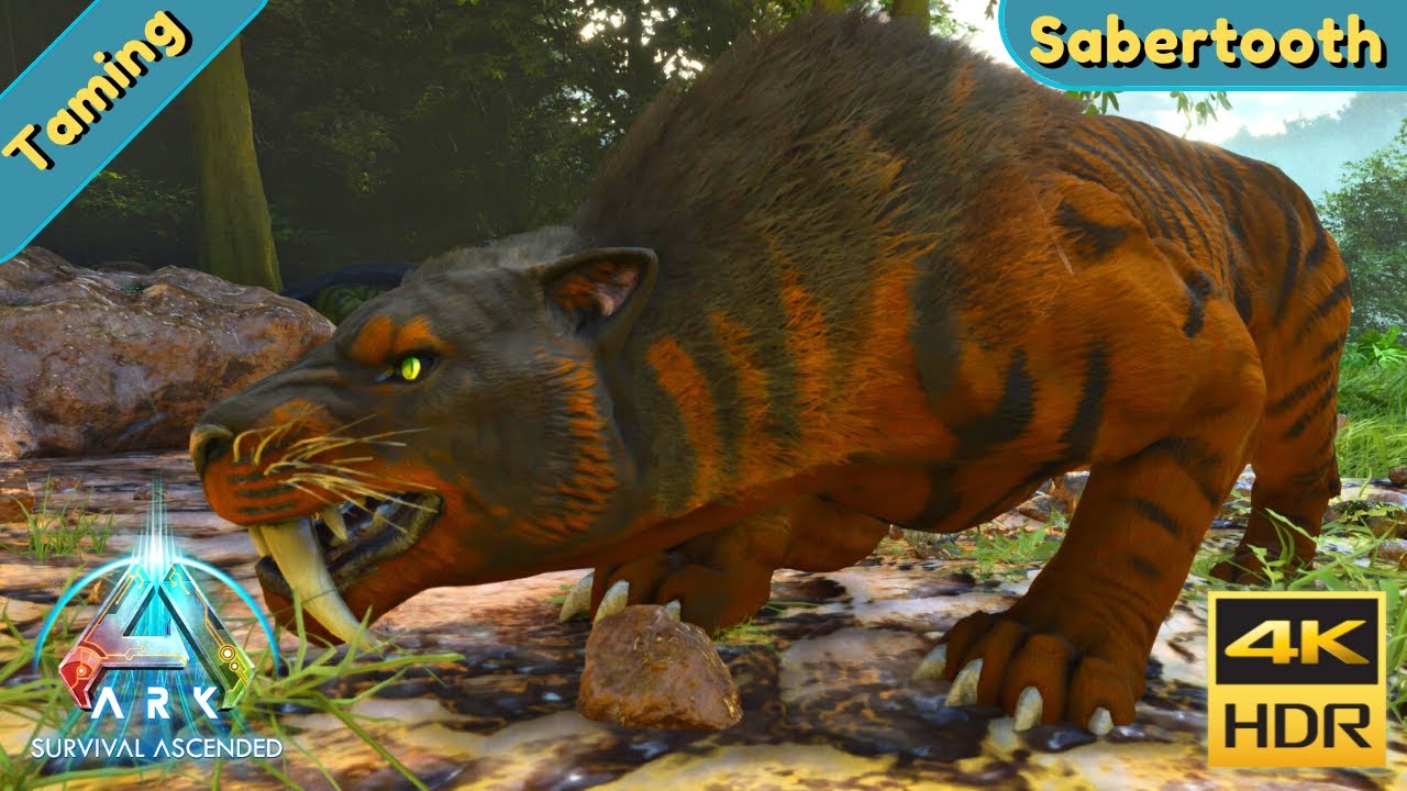 ARK Survival Ascended : Tame a Sabertooth