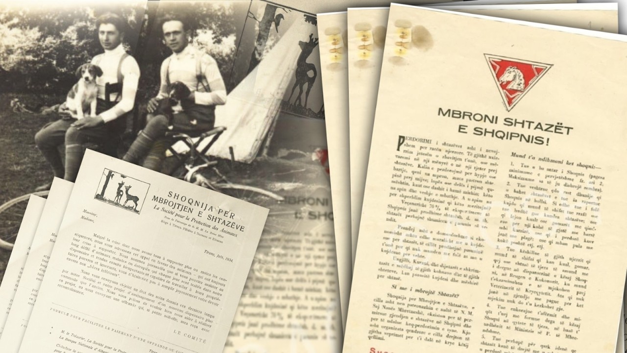 1928: Kur Shqipëria mbroi të drejtat e kafshëve përpara se të mbronte ato të njeriut...DOSJA E