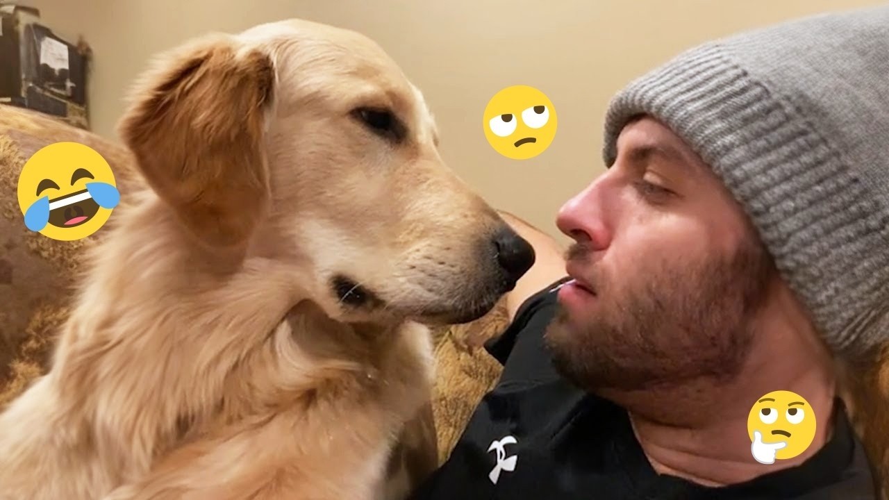 Hilarious Dogs That Will Make You Laugh Instantly 😂🐶 Funny Dog Video 2026