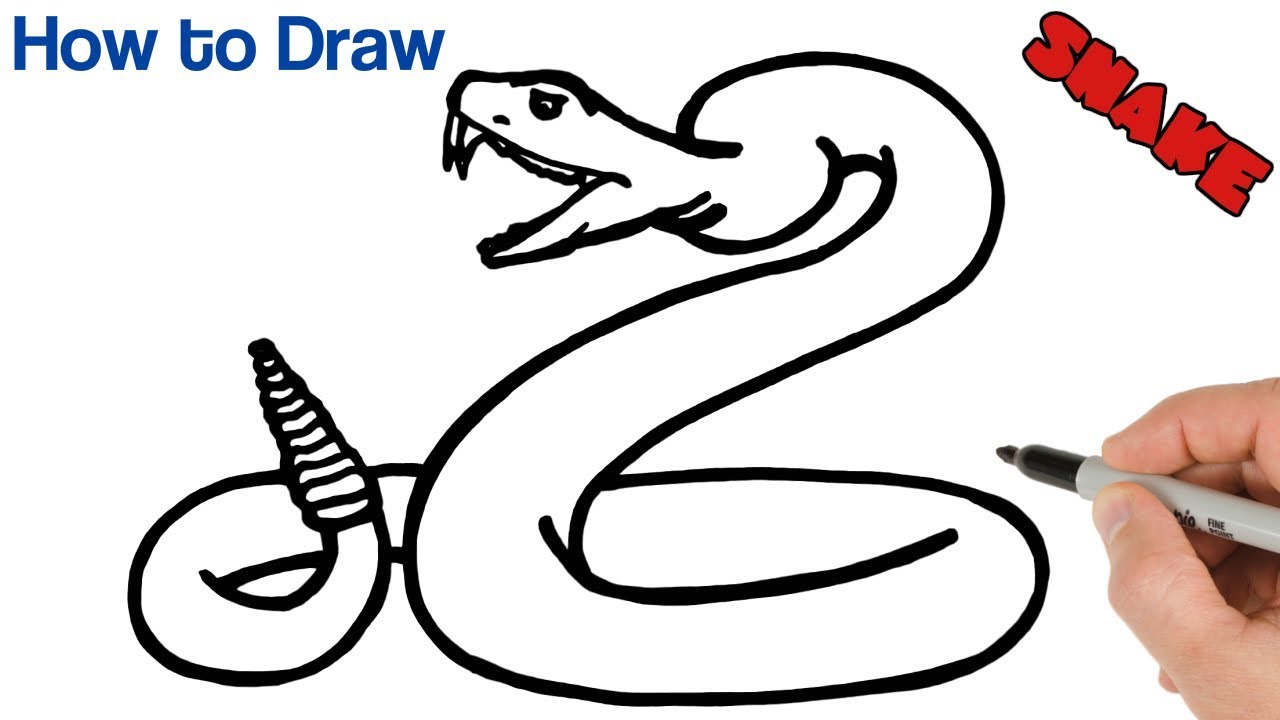 How to Draw a Snake Rattlesnake Easy | Animals Drawings Step by Step