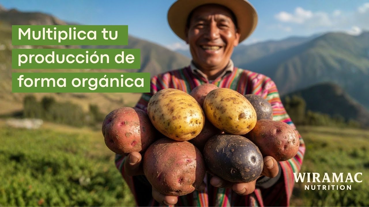 Cómo aumentar la producción de tus cultivos (de forma orgánica)