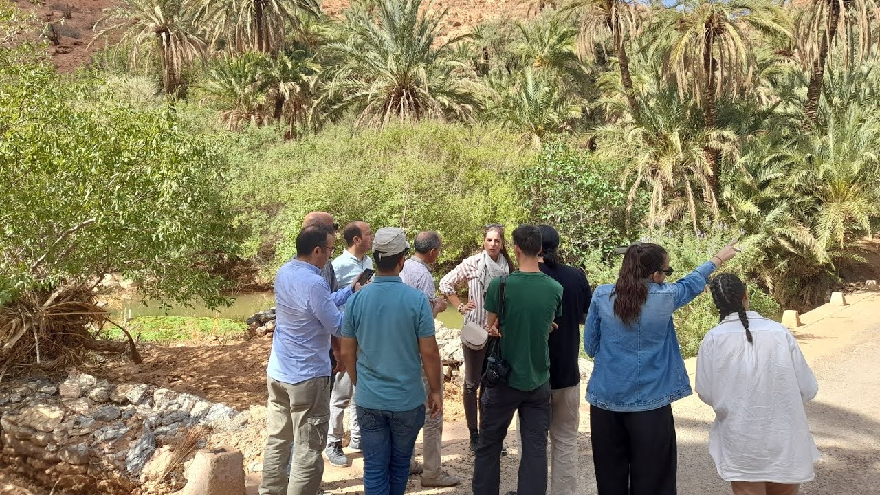 Ait Mansour Valley - Tafraout | Beautiful Oasis & Ait Mansour Gorge | FAO GIAHS #travel #morocco