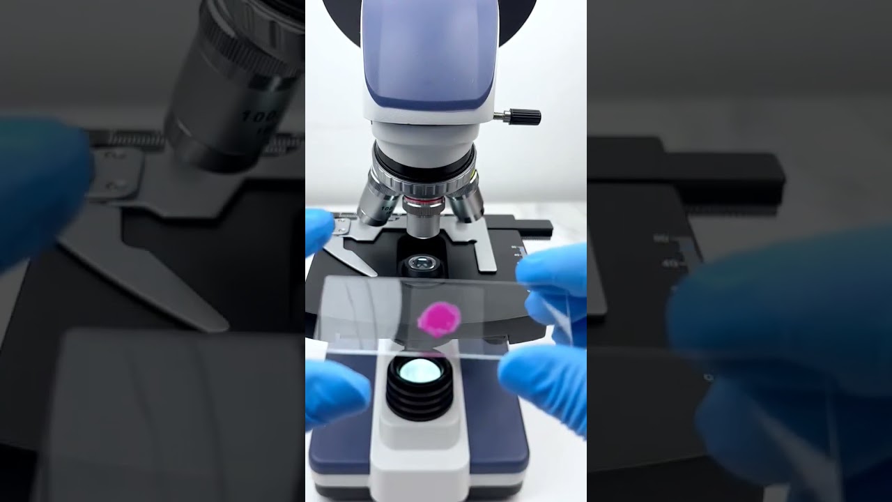 Nail polish under microscope