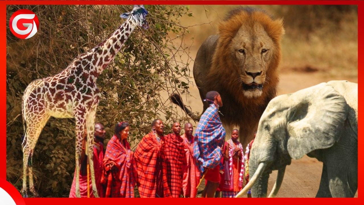 SIRI NZITO ZA IKOLOJIA YA NGORONGORO URITHI WA ASILI SHUGHULI ZA BINADAMU NA HATMA YA HIFADHI