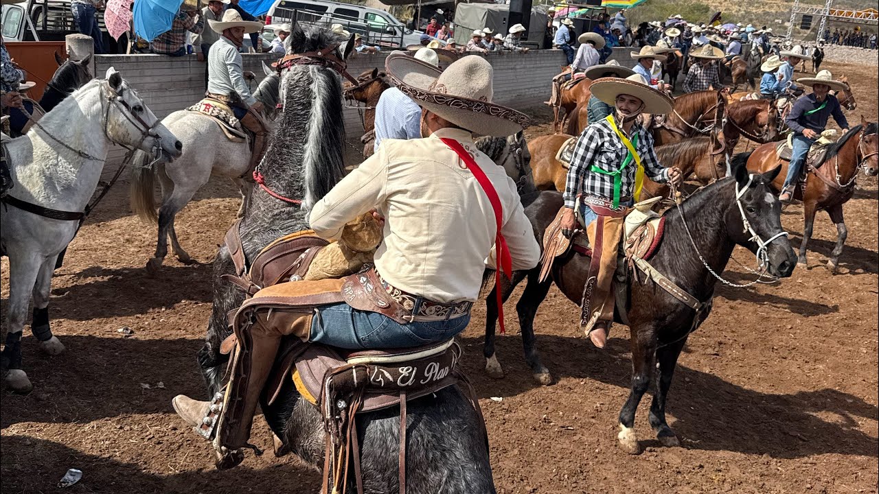 Coleadero en San Nicolás de Acuña  