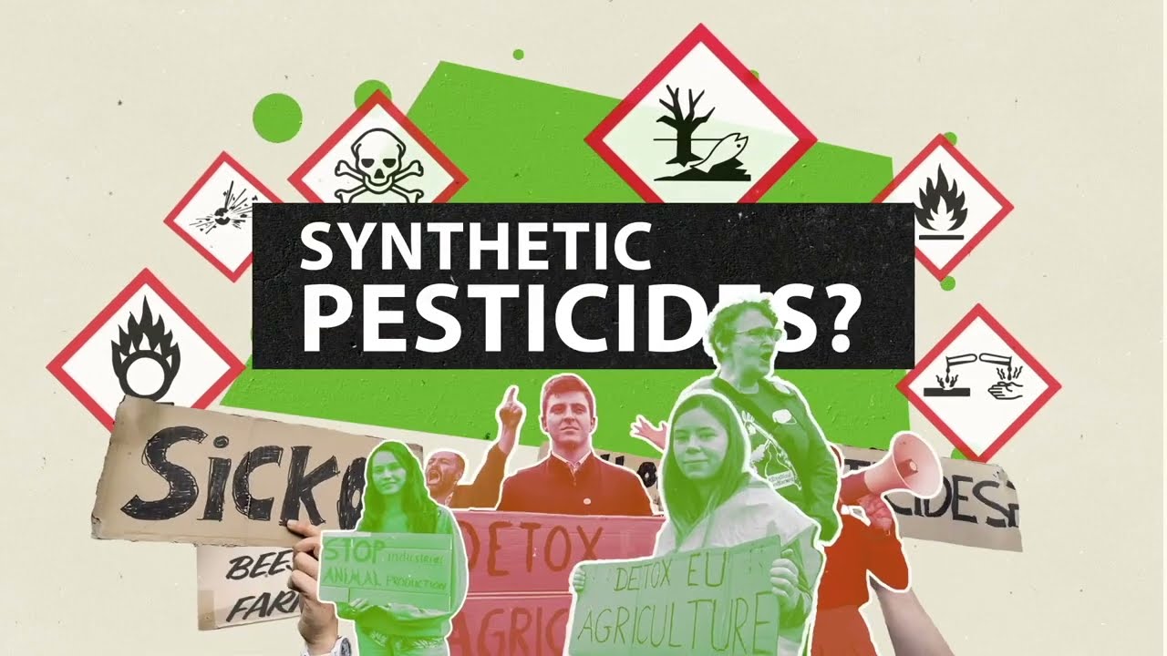 Pesticidy: zvládneme to i bez nich? Ekologický přístup k péči o zdraví rostlin