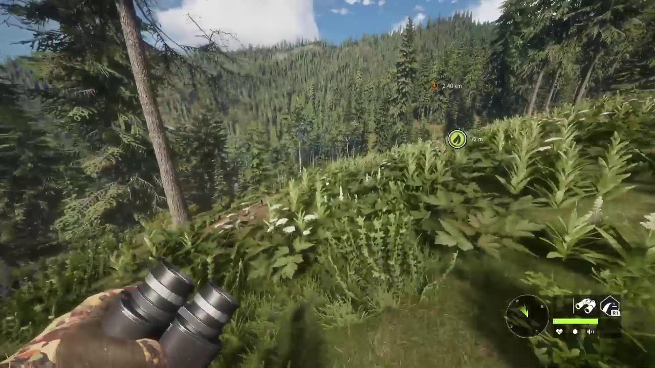 🔴 The Hunter Call Of The Wild - New Years Hunting For Diamonds And Super  Rares - LIVE