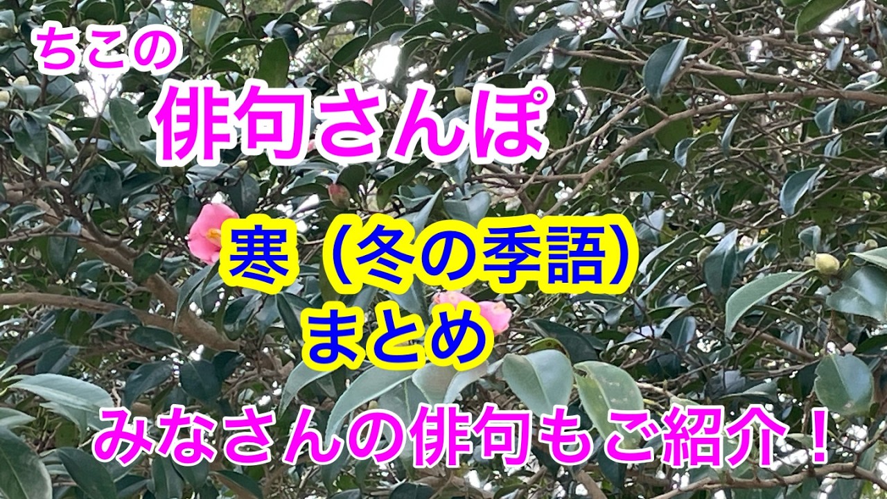 【俳句さんぽ・第232回 】寒（冬の季語）まとめ回　ワークショップにいただいたみなさんの俳句もご紹介いたします！