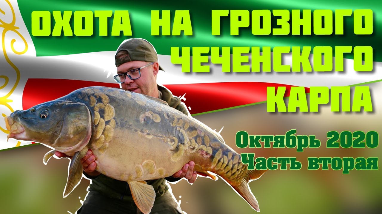 ОХОТА НА ГРОЗНОГО ЧЕЧЕНСКОГО КАРПА. ДВЕ ОГРОМНЫХ РЫБЫ. ОКТЯБРЬ 2020. ЧАСТЬ ВТОРАЯ.
