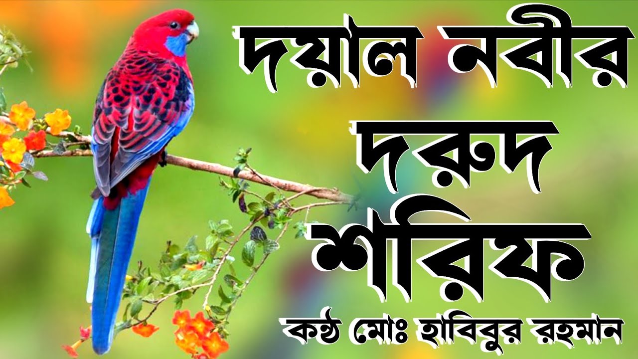 পাগল করে দিবে এই দরুদ শরিফ জিকির এক বার শ্তনলে  pagol kora  dibae dorud shorif jikir 