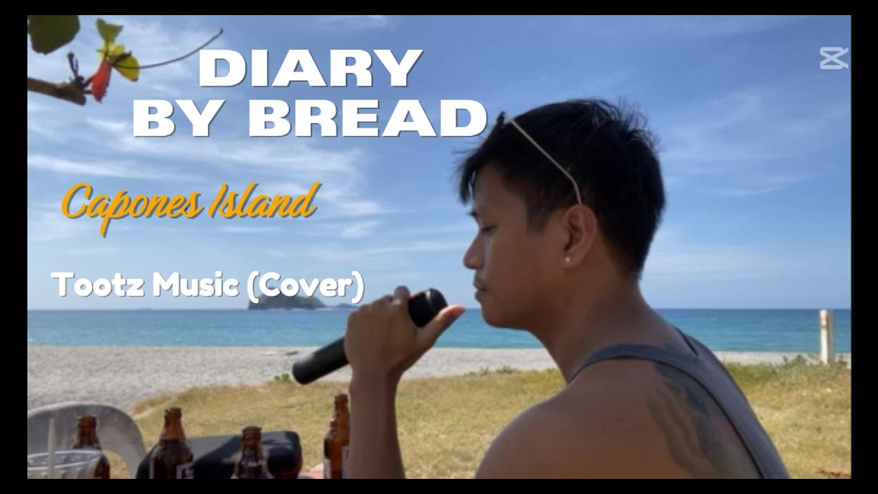 Diary by Bread (Tootz Cover)