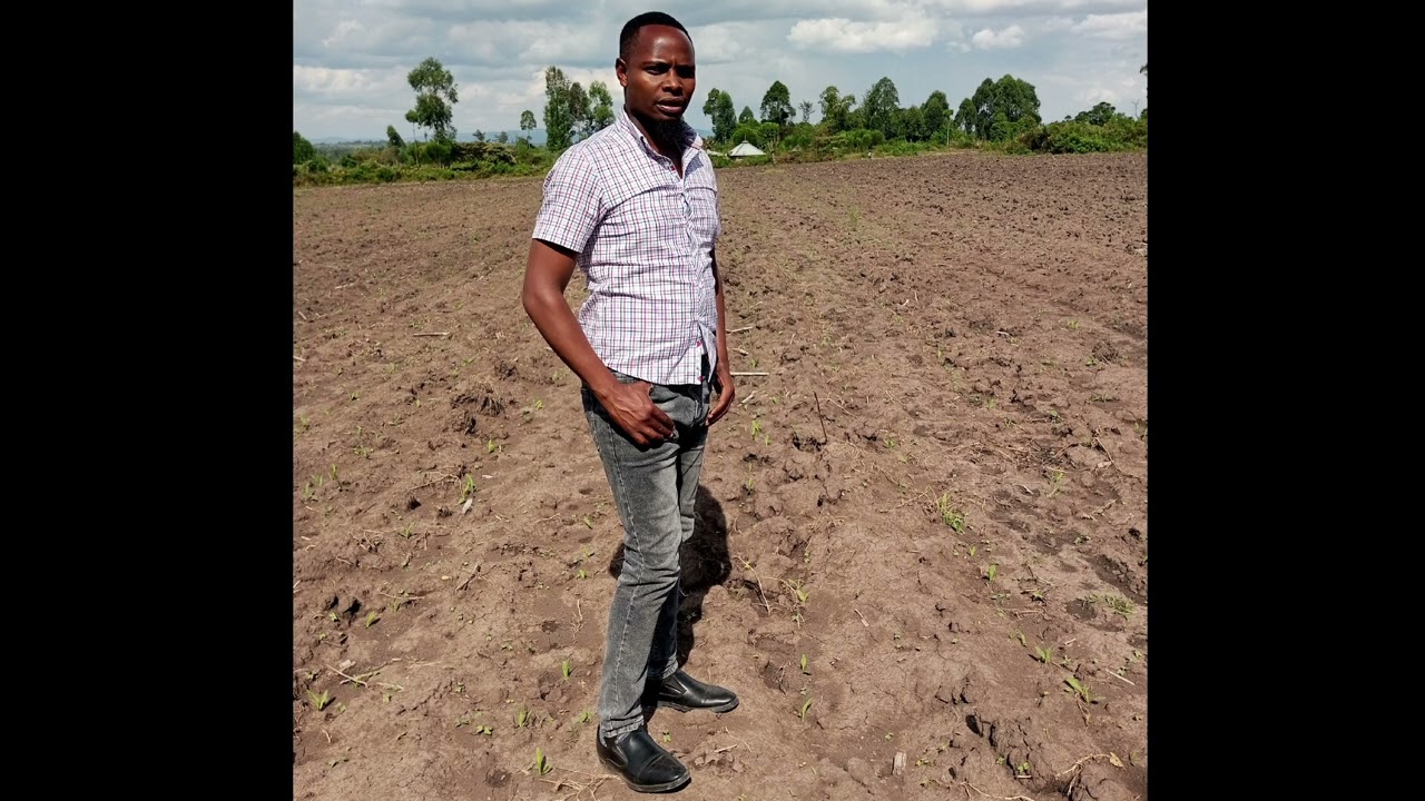ISIMBA JAZZ - AMI GAA RAA BUCH (Official Music Audio)