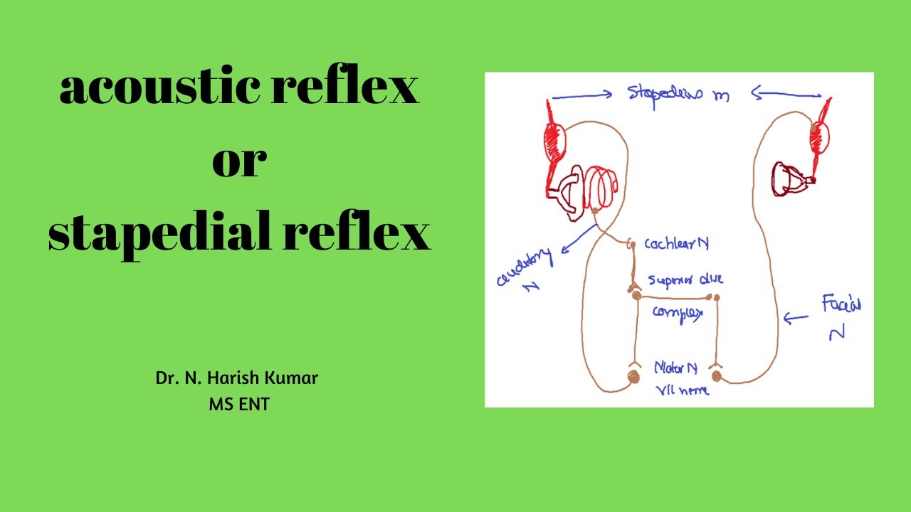 acoustic reflex | MBBS - ENT