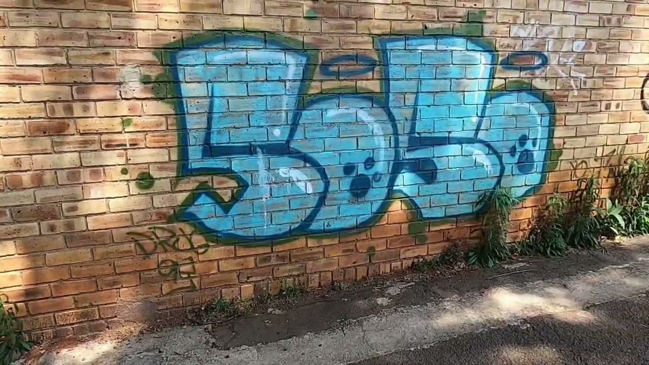 Graffiti - Camera Thieves
