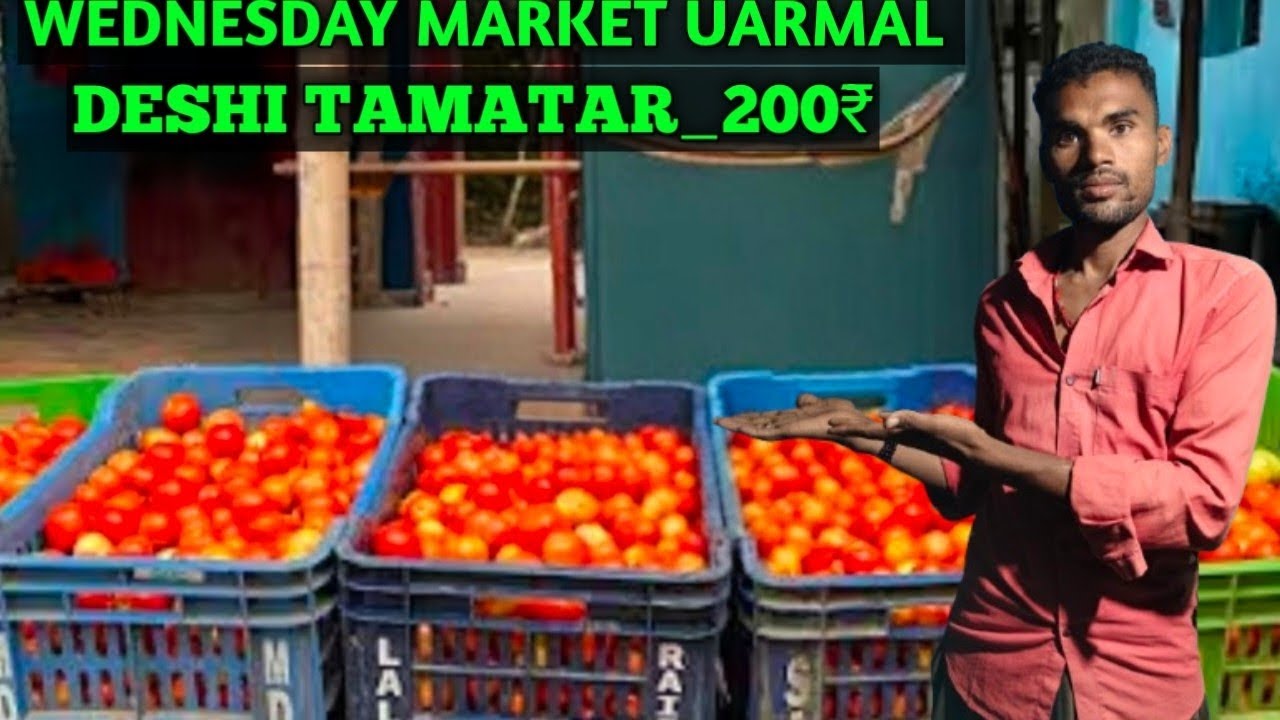 AAJ HOLSEL MARKET ME SELL KYA MAINE 4 CARET TAMATAR KITNA PROFIT HUAA!!😱?