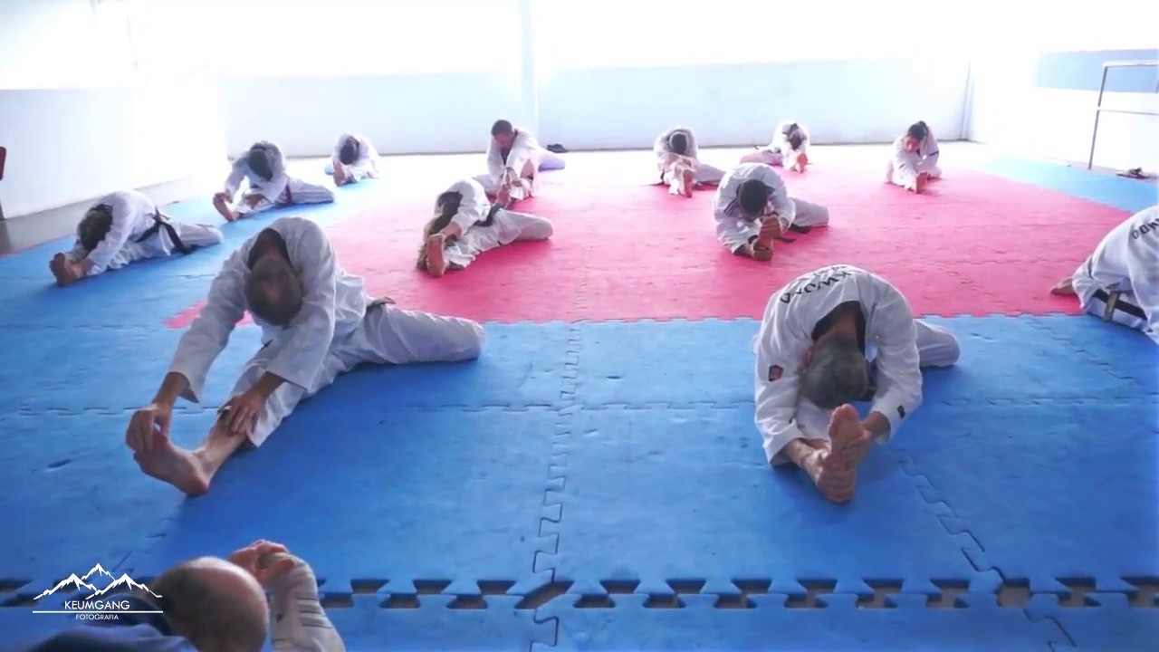 21.05.2017 - Seminário de Técnicas de Taekwondo [Parte I]