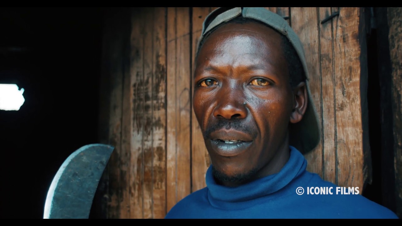Mitigating Human-Wildlife Conflicts