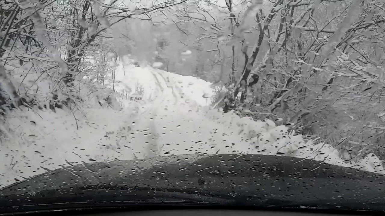 căntec ucrainean