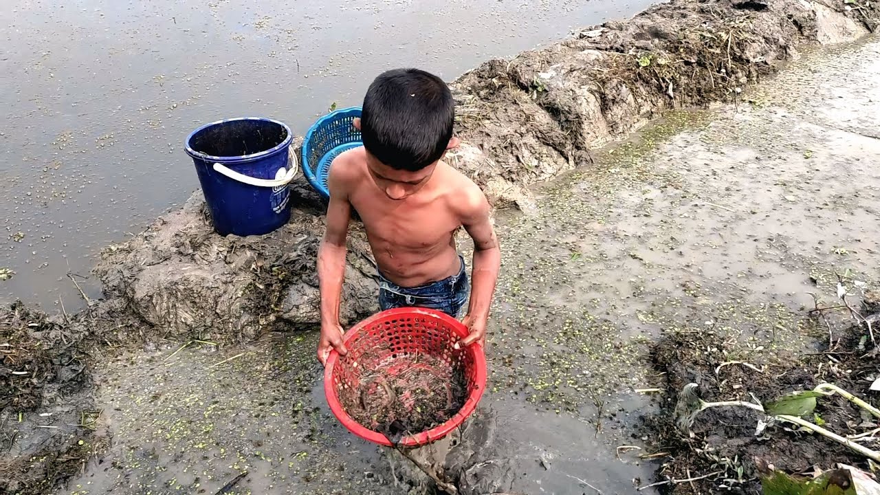 গ্রামের ছোট বাচ্চারা পুকুরে পুঁটিমাছ ধরছে | The children are fishing | Nature 