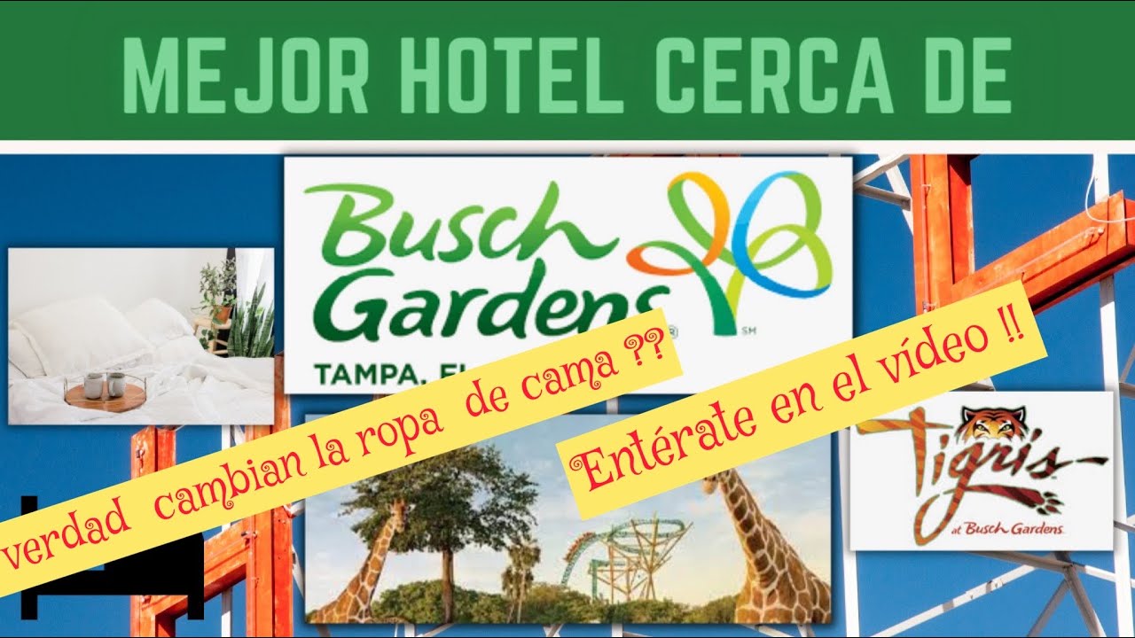 Hotel Recomendable Cuando vas a Bush Gardens , Tampa Florida