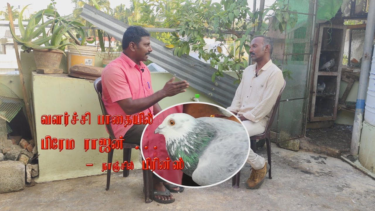 Mr.Prema Rajan Avargaludan Nanjil Prince - Prince Pigeon World