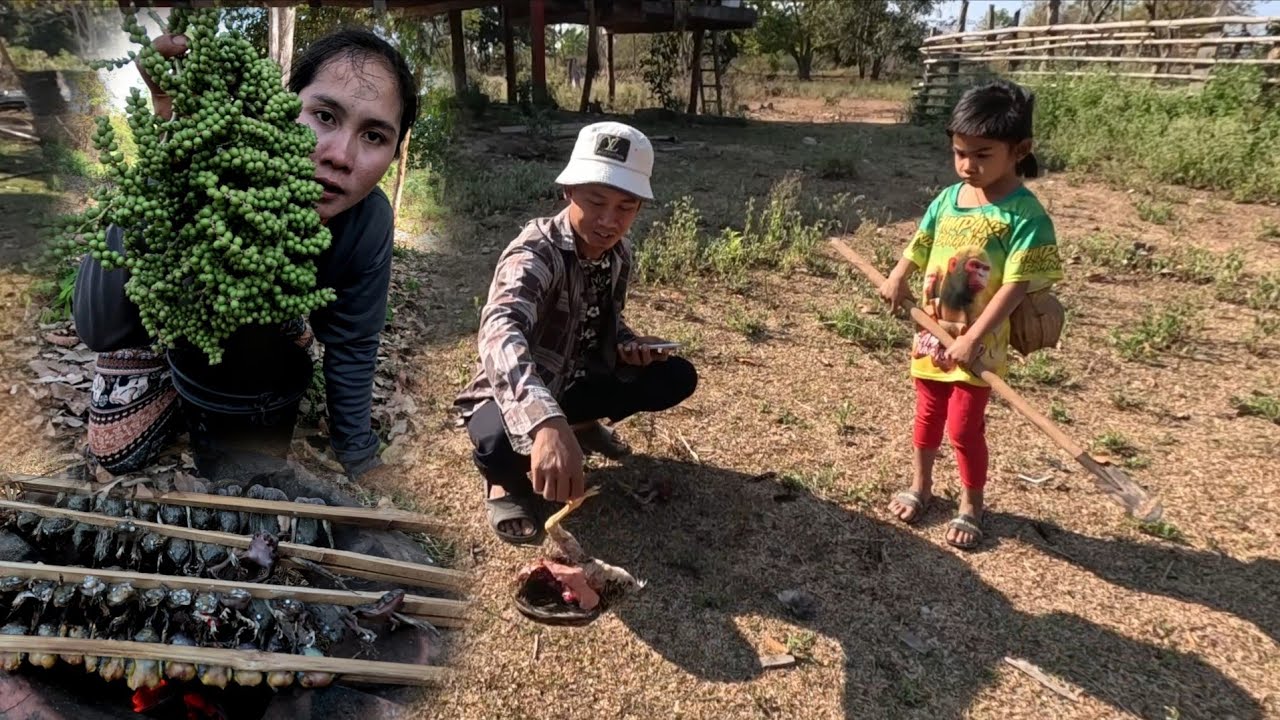 22 กุมภาพันธ์ ค.ศ. 2026