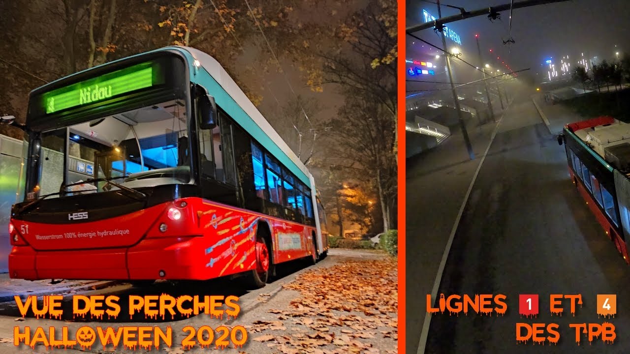 🚎🎃 Vue des perches Halloween 2020 : lignes 1️⃣ & 4️⃣ des TPB
