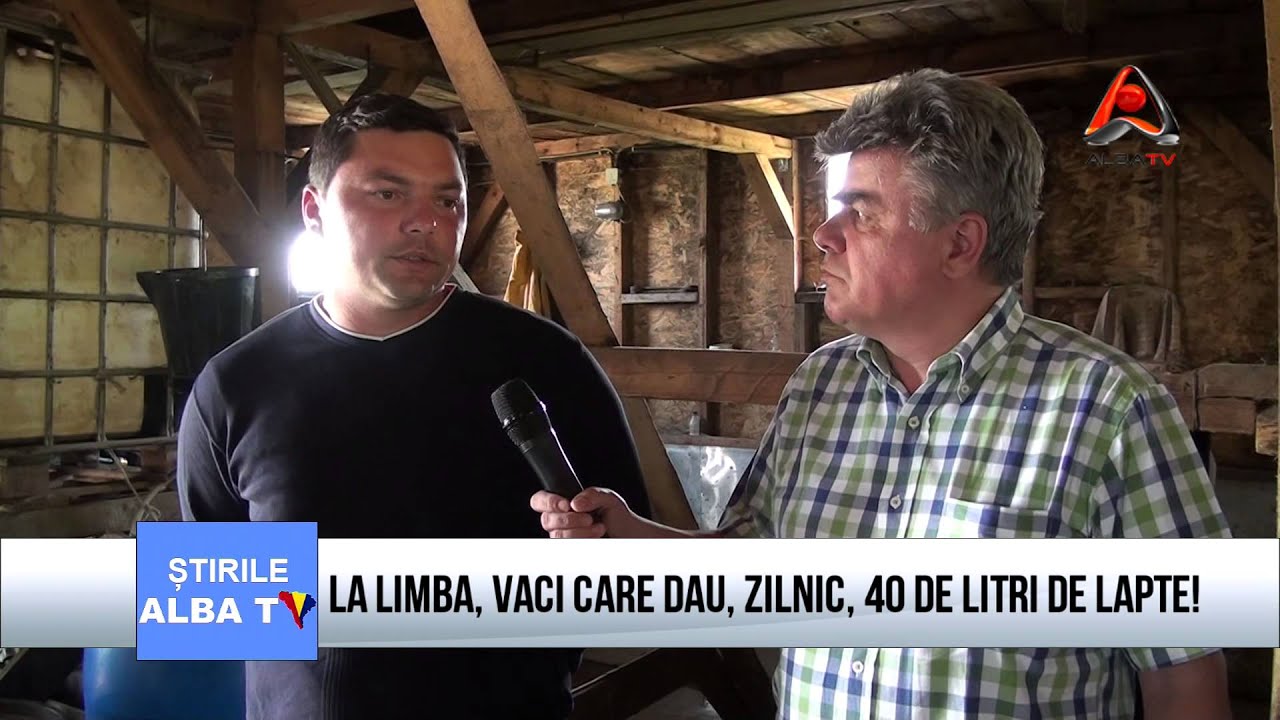 LA LIMBA, VACI CARE DAU, ZILNIC, 40 DE LITRI DE LAPTE!