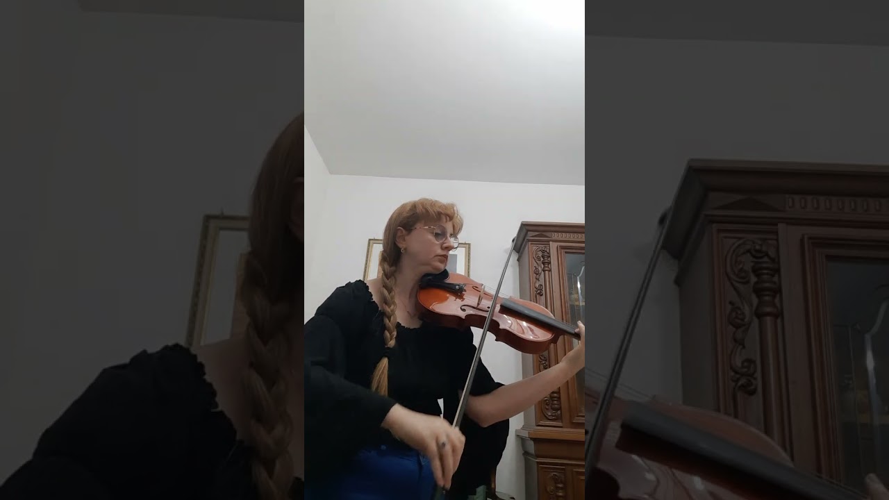 Sinfonia per un addio - Rondò Veneziano - Violin Cover - Elisabetta M.Ioppolo