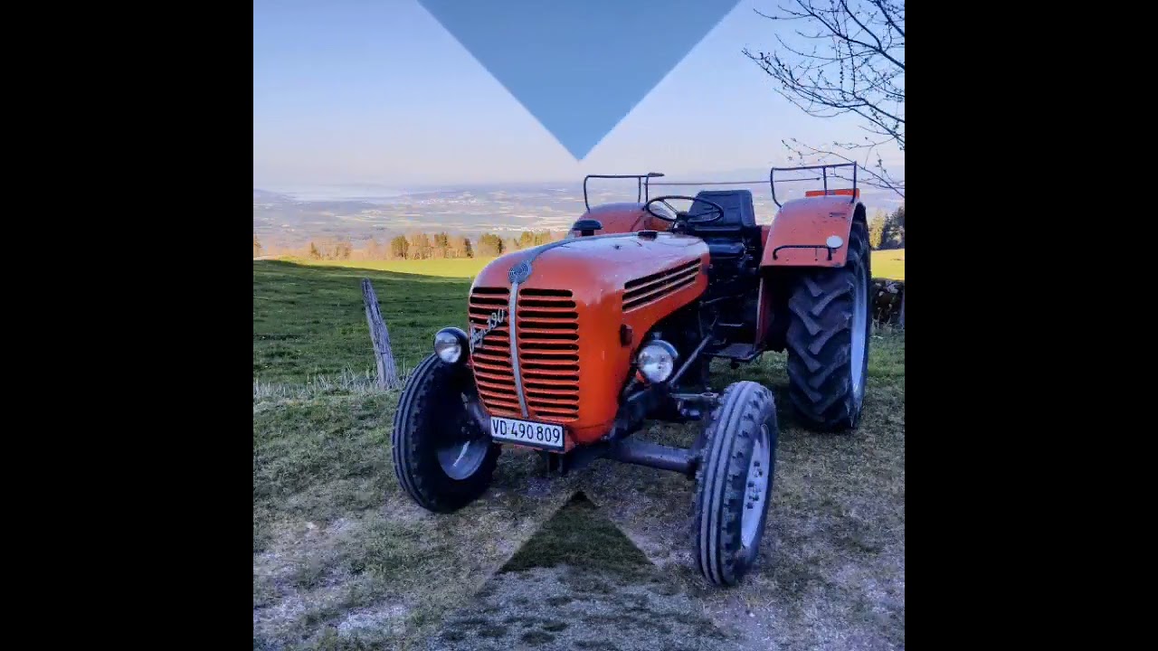 Steyr 190.       1965-2025