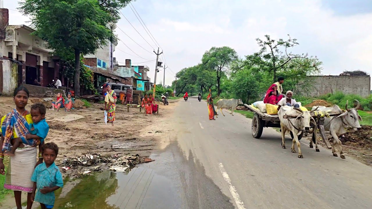 Full video from the roads of the village of Uttar Pradesh in India to the streets of the city