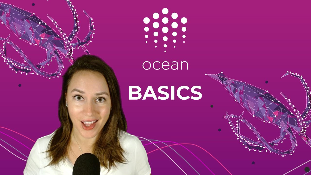 Ocean Basics
