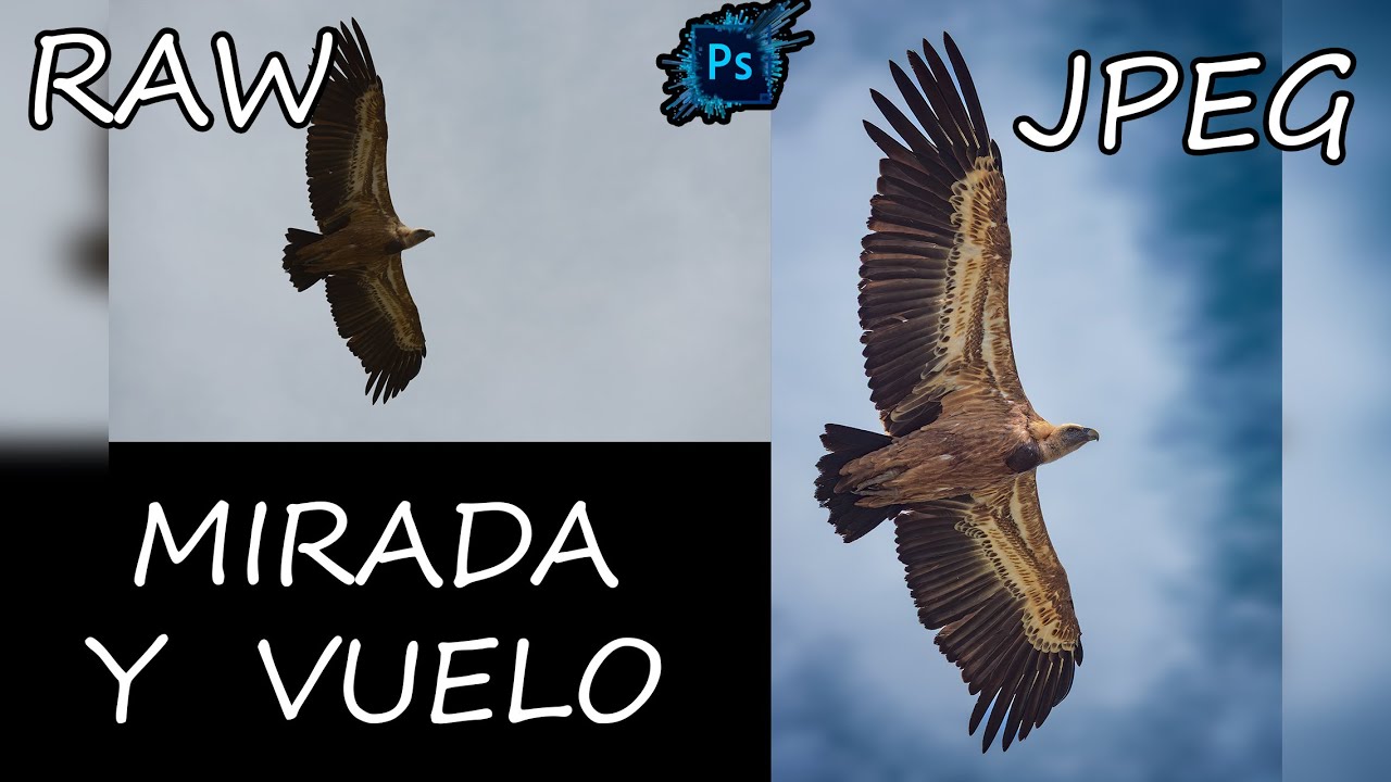 Edición Completa Decisiones Reales Reencuadre Mirada y Control del Cielo