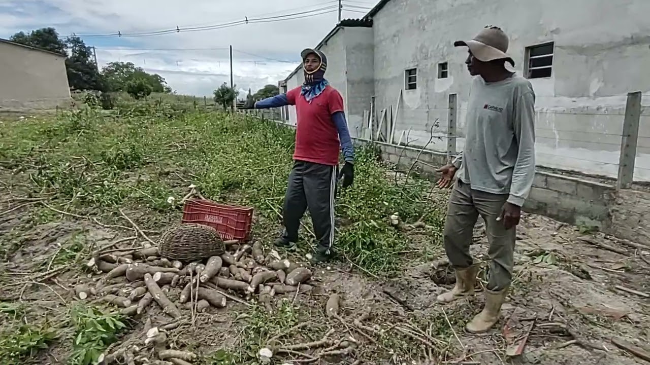 6 de outubro de 2025