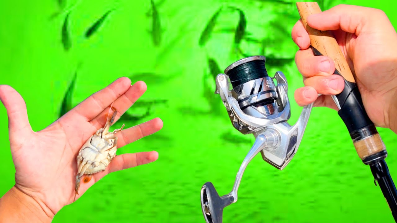 1 v 1 DOCK LIGHT Fishing CHALLENGE Vs My GIRLFRIEND!