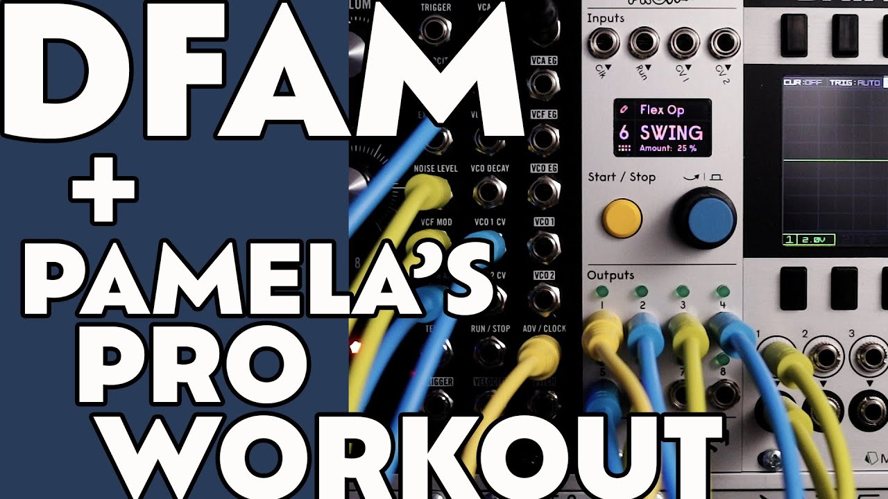 Pamela's Pro Workout + DFAM - Patching Ideas