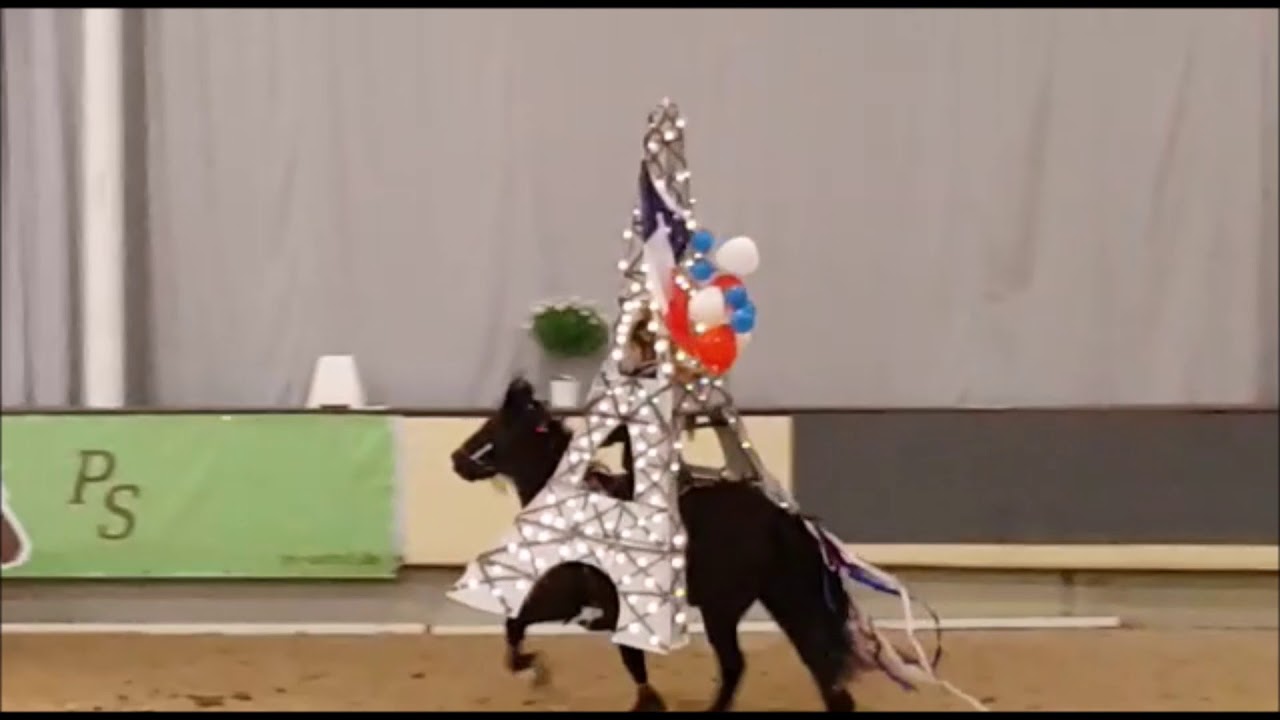 L&ouml;wenhof Fr&uuml;hjahr 2017