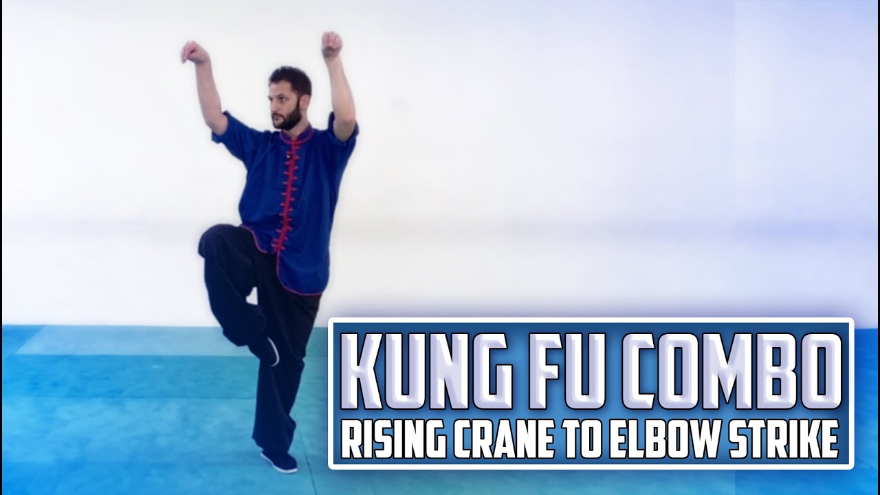 Kung Fu Combo - Rising Crane to Elbow Strike