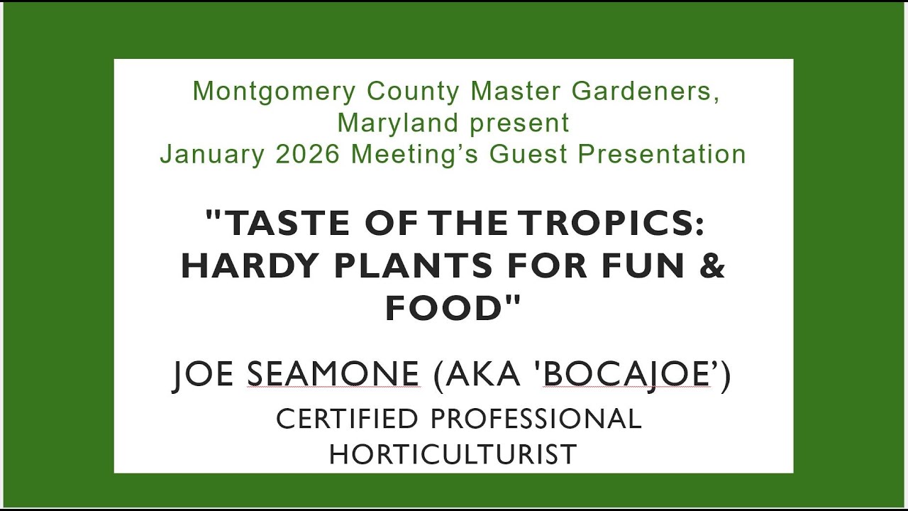 MCMG January 2026 Taste of the Tropics, Joe Seamone